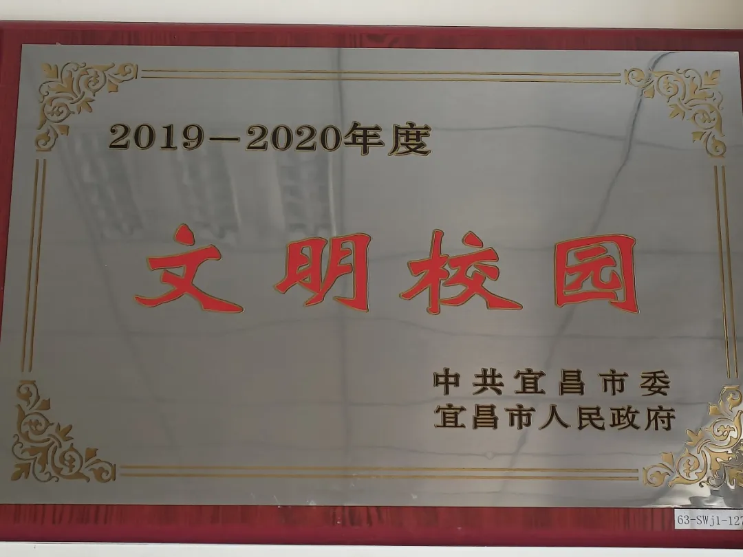 【招生特辑】实验小学六泉湖校区2024年秋季一年级招生公告 第23张