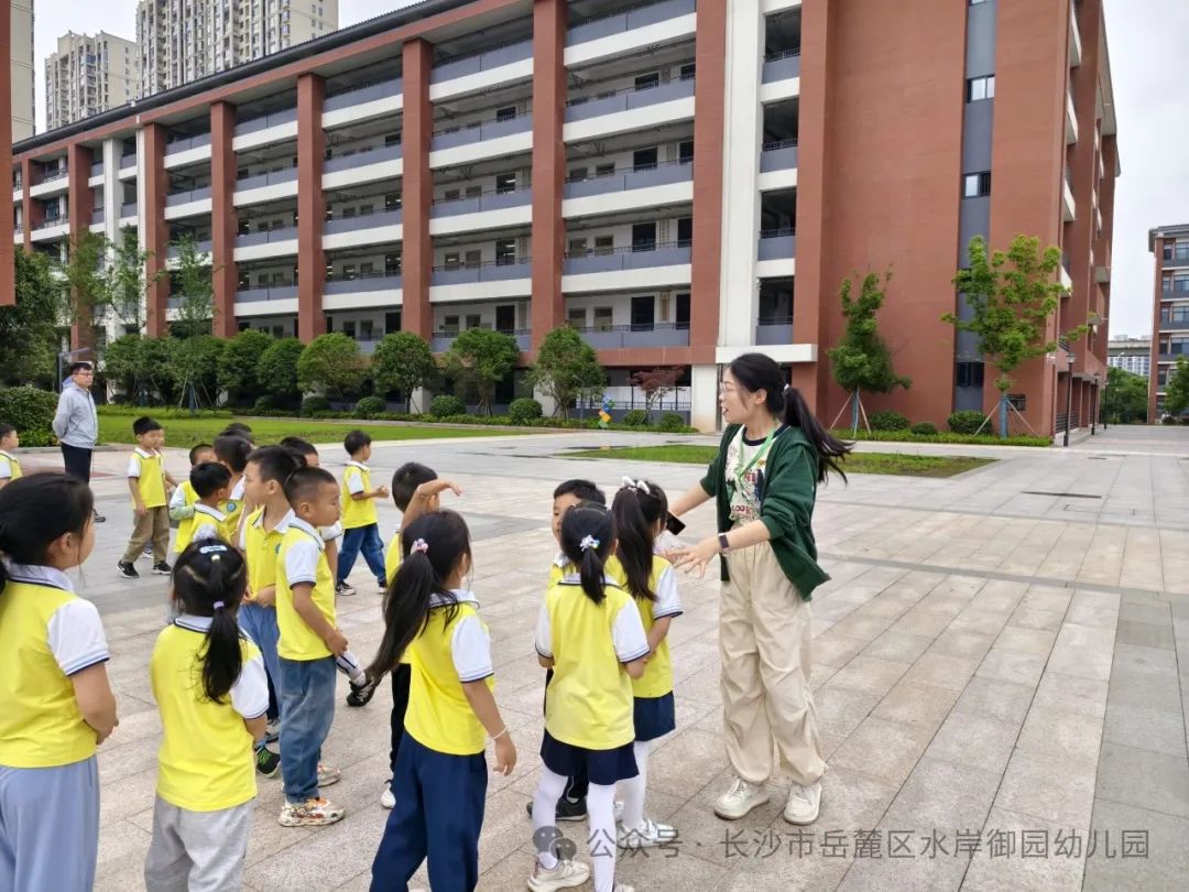 初探小学·衔接梦想——大班组幼小衔接参观小学活动 第38张