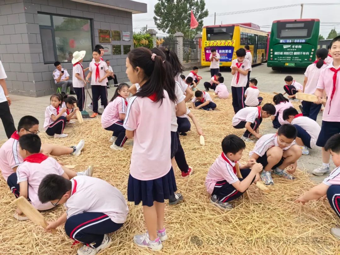 “芒”有所获,“种”有所得——科奥小学五年级劳动实践活动 第27张