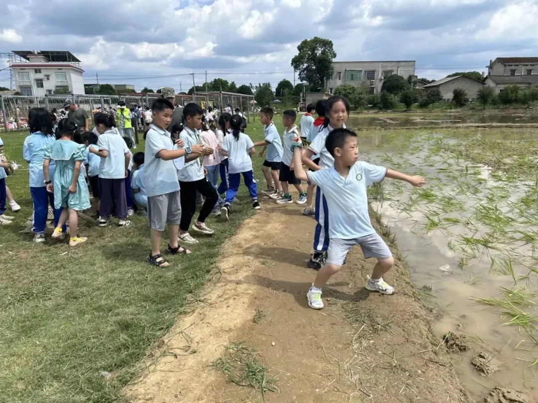 花园小学“国歌嘹亮 耕读童年”——庆六一•红领巾爱祖国研学实践活动 第52张