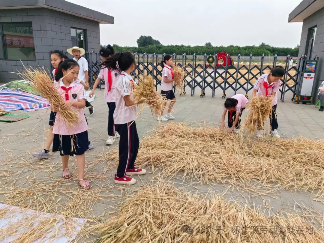 “芒”有所获,“种”有所得——科奥小学五年级劳动实践活动 第25张