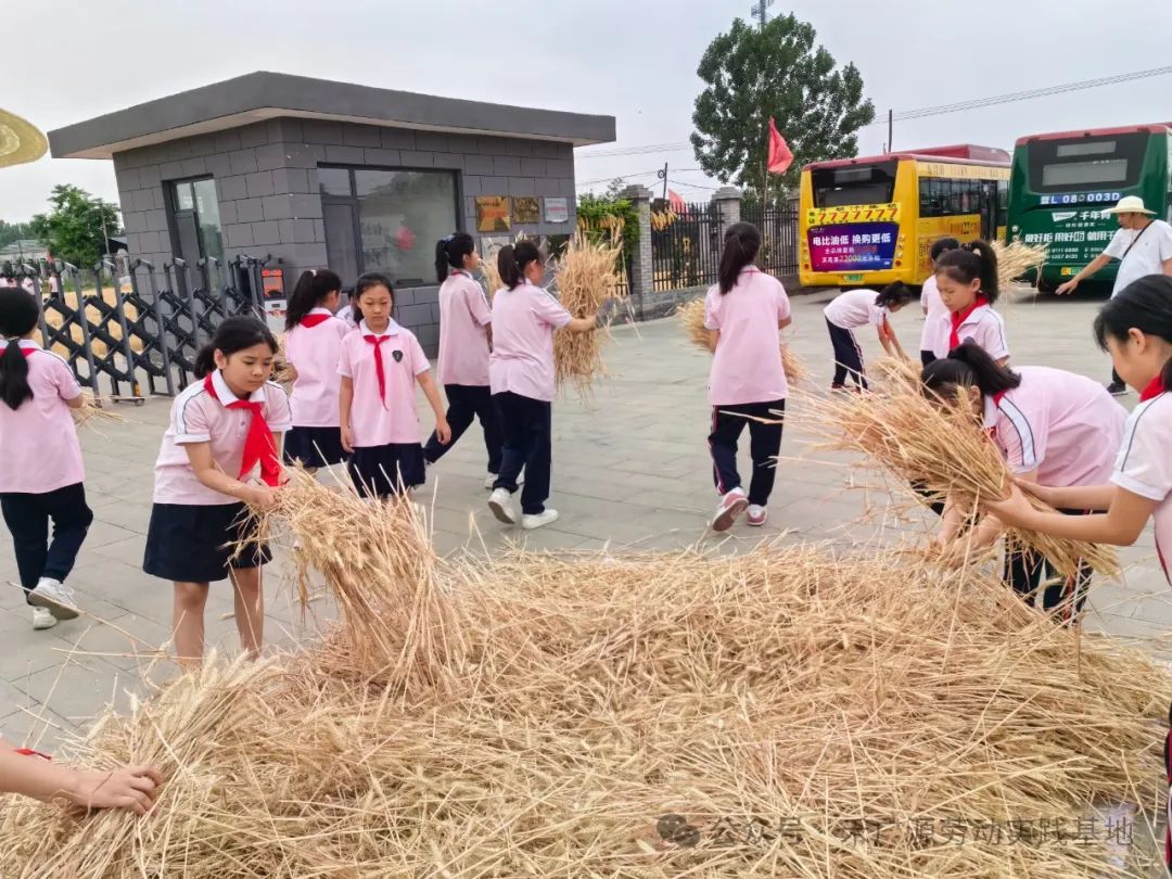 “芒”有所获,“种”有所得——科奥小学五年级劳动实践活动 第26张