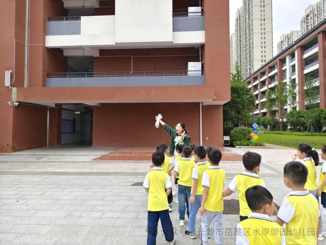 初探小学·衔接梦想——大班组幼小衔接参观小学活动 第37张