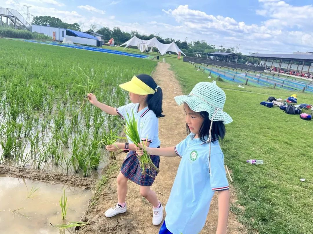 花园小学“国歌嘹亮 耕读童年”——庆六一•红领巾爱祖国研学实践活动 第50张