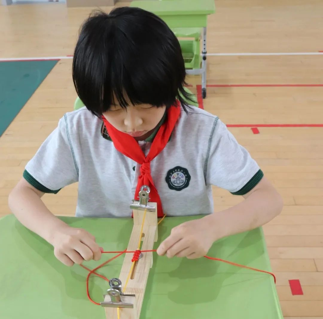 【齐小·活动】南京市齐武路小学第三届生活小达人劳动技能大赛圆满落幕! 第37张