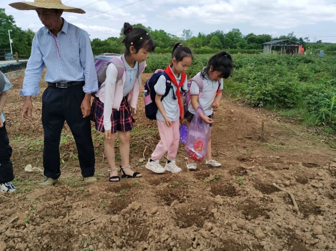 花园小学“国歌嘹亮 耕读童年”——庆六一•红领巾爱祖国研学实践活动 第74张