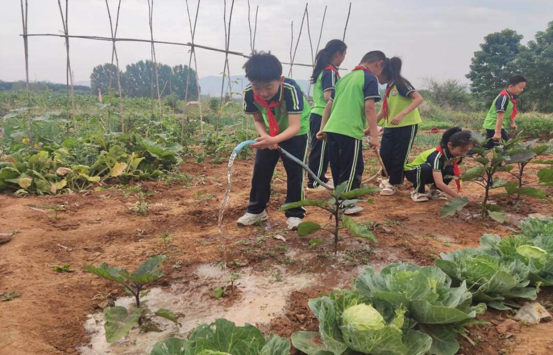 沂南县岸堤镇高湖中心小学开展二十四节气之芒种主题教育活动 第7张