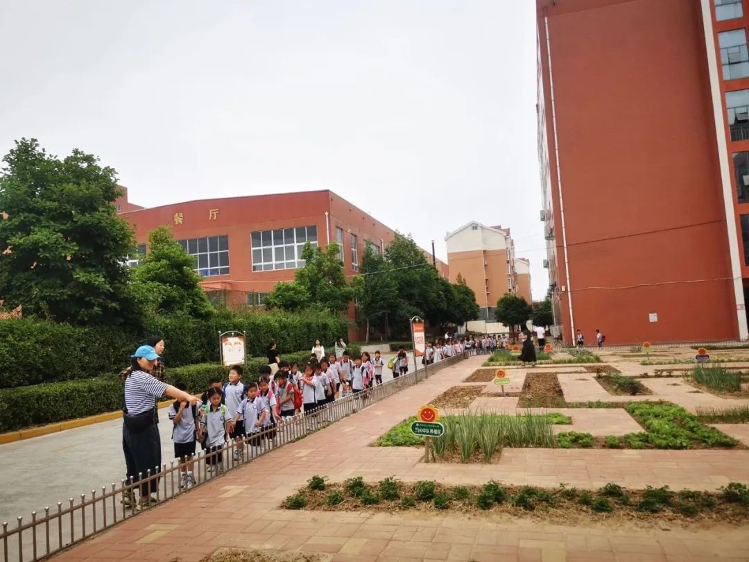 【三标三实】“幼”遇小学,礼遇成长—上街区实验幼儿园幼小衔接之参观小学 第30张