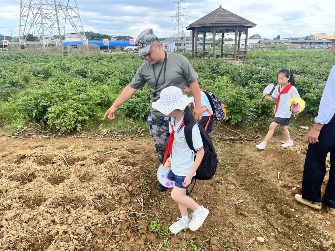 花园小学“国歌嘹亮 耕读童年”——庆六一•红领巾爱祖国研学实践活动 第78张