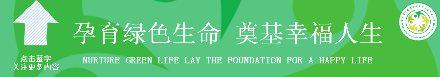 税润童心  筑梦未来——万盛小学税法进校园暨“六.一”游园嘉年华庆祝活动 第1张