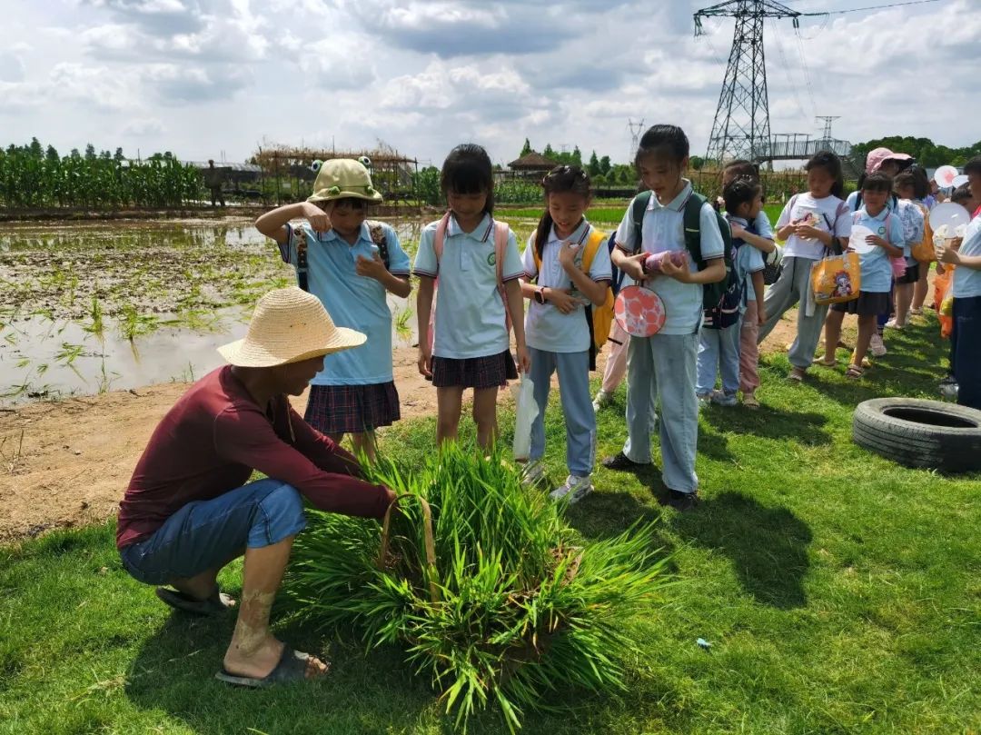 花园小学“国歌嘹亮 耕读童年”——庆六一•红领巾爱祖国研学实践活动 第47张