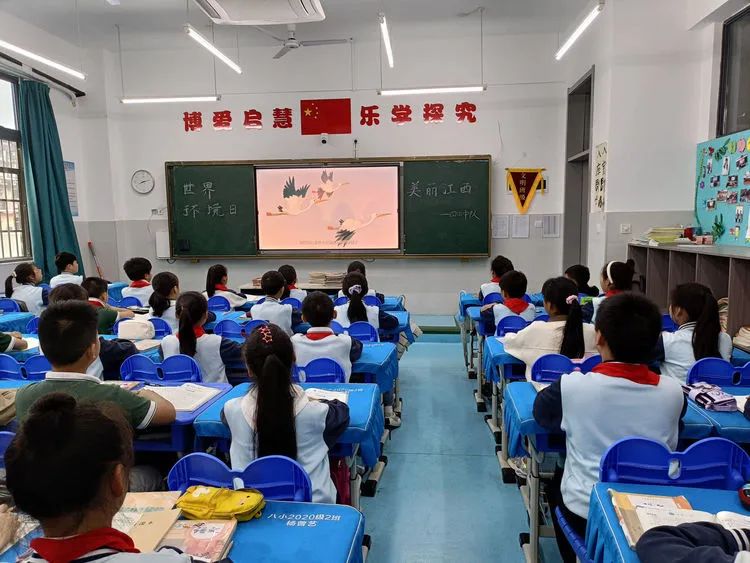 美丽江西,你我同行——鹰潭市第八小学开展世界环境日主题宣传教育活动纪实 第22张