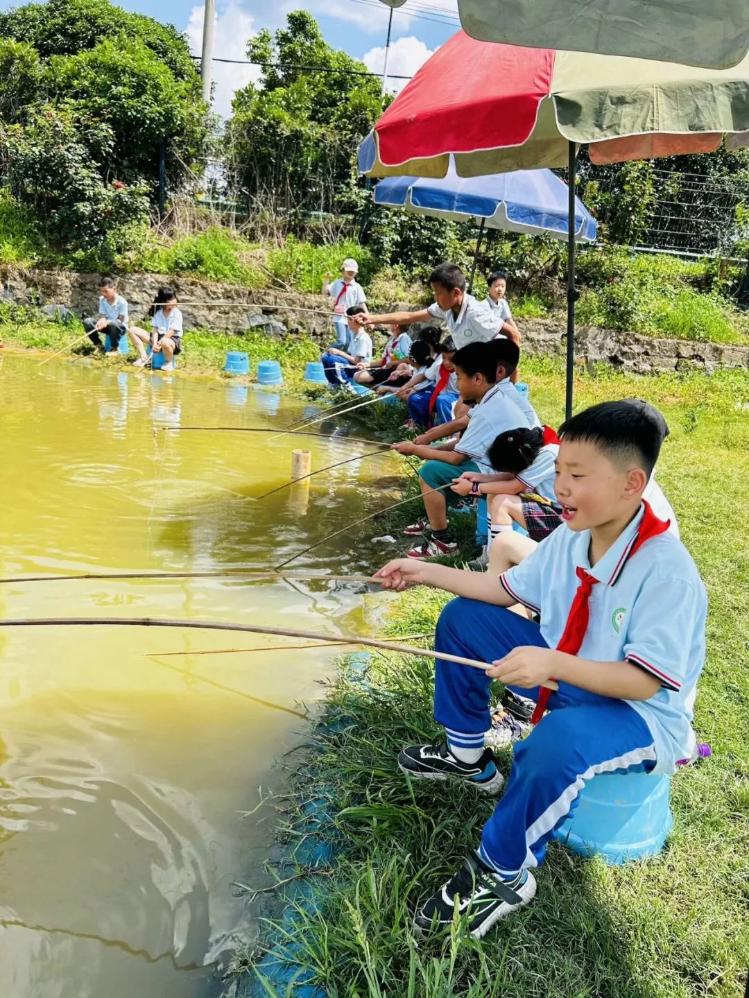 花园小学“国歌嘹亮 耕读童年”——庆六一•红领巾爱祖国研学实践活动 第70张