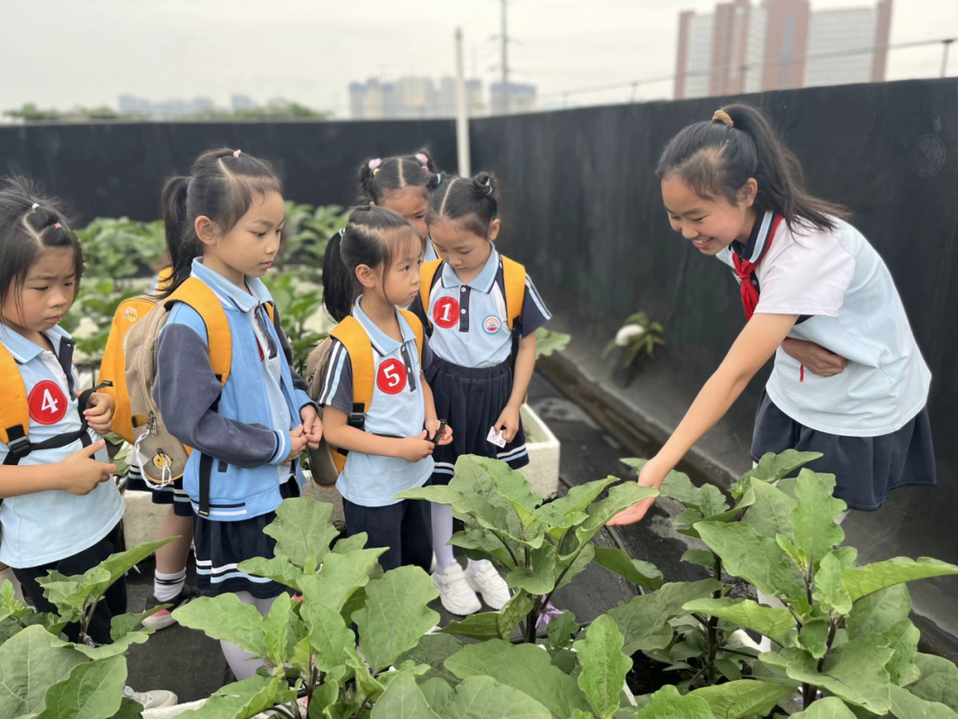 【园级动态】初探小学  期望成长——红岭幼儿园大班组参观小学活动纪实 第2张