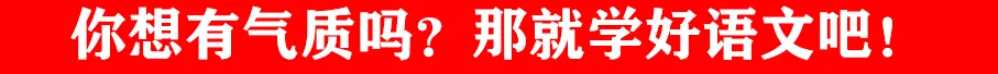 【中考冲刺】2024年新中考 语文模拟卷(13)【含答案】 第1张