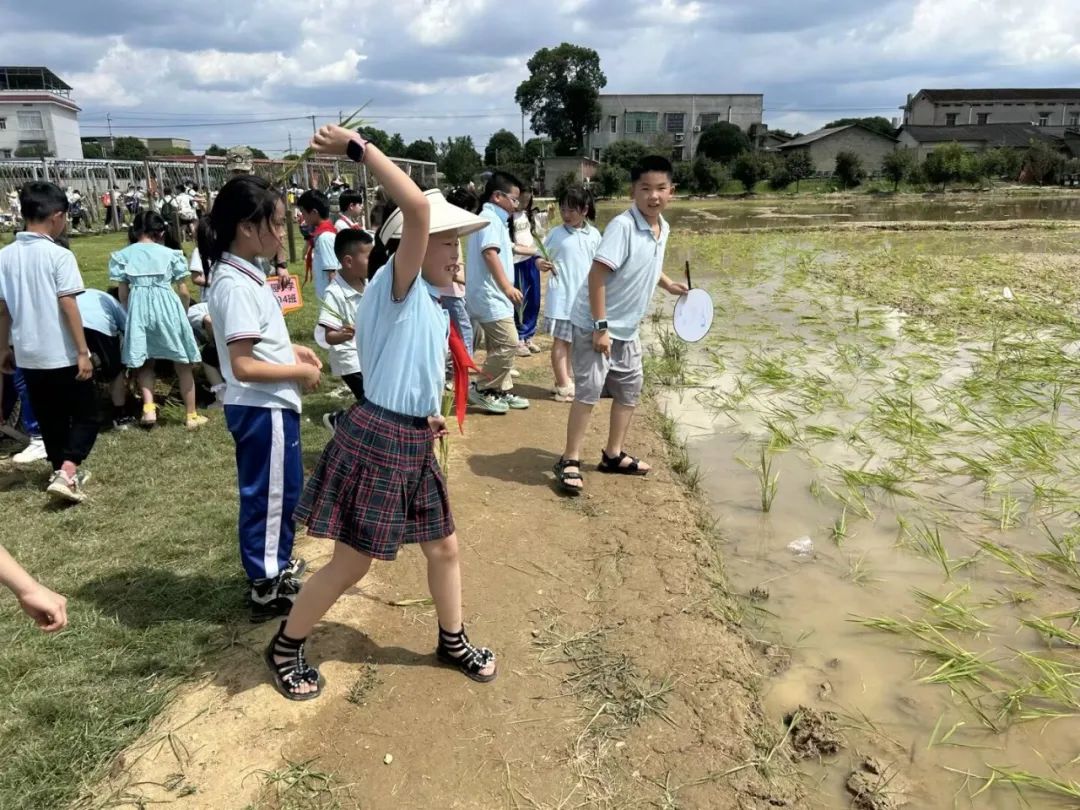 花园小学“国歌嘹亮 耕读童年”——庆六一•红领巾爱祖国研学实践活动 第53张