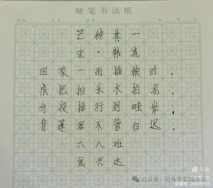 二十四节气之芒种——实验小学综合实践活动 第9张