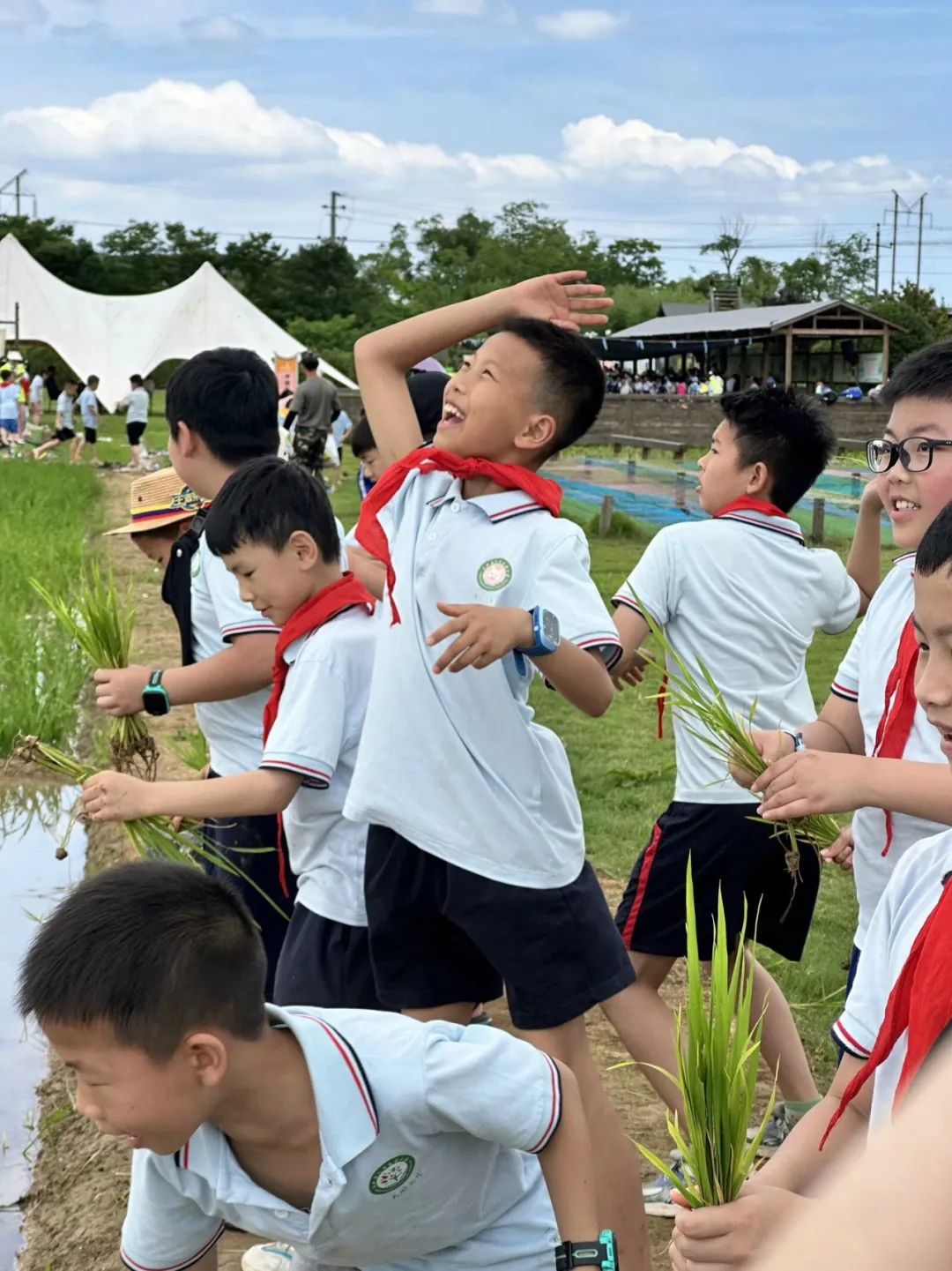 花园小学“国歌嘹亮 耕读童年”——庆六一•红领巾爱祖国研学实践活动 第55张