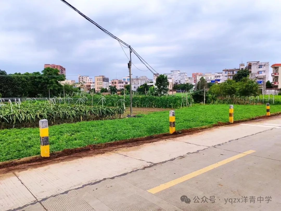 铲草护绿,清道助中考 第24张