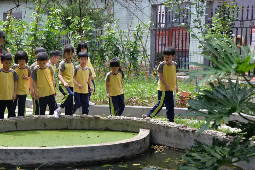 趣探小学,幼见成长 第71张