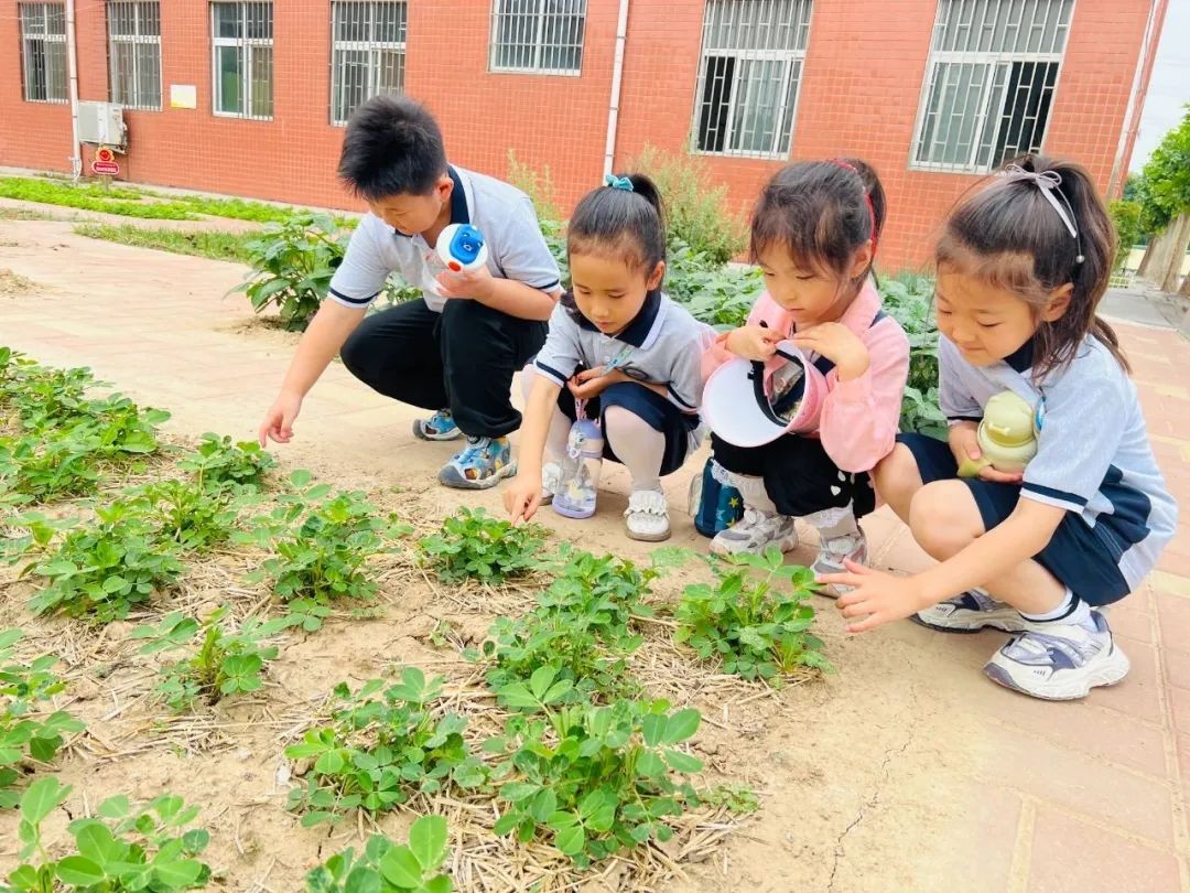 【三标三实】“幼”遇小学,礼遇成长—上街区实验幼儿园幼小衔接之参观小学 第31张