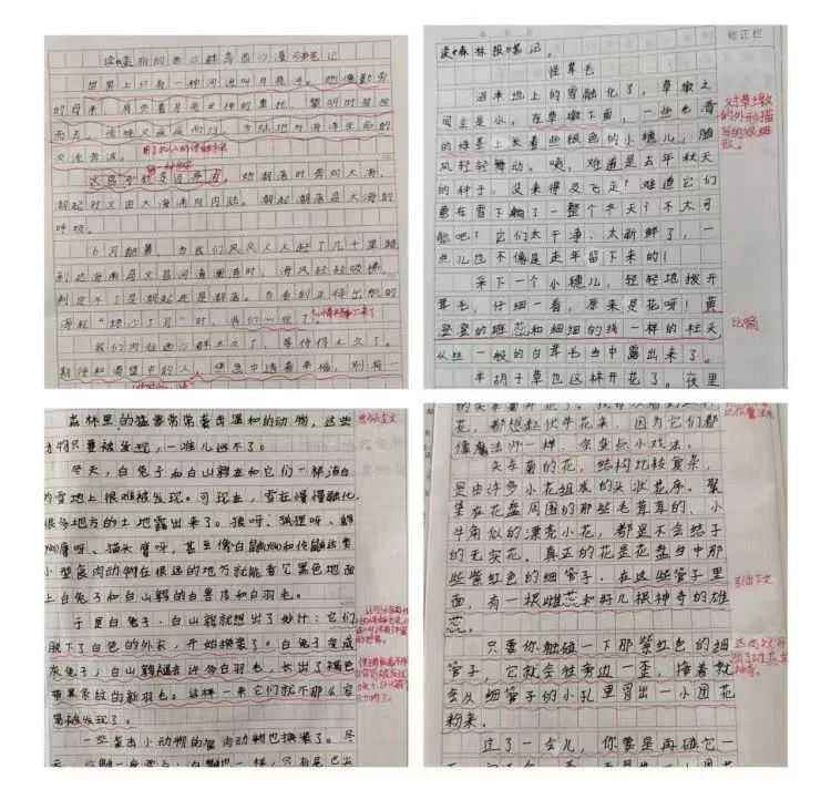 狄公小学班班共读系列之书香满园“阅”读“悦”美 ——狄公小学四年级班班共读 第29张