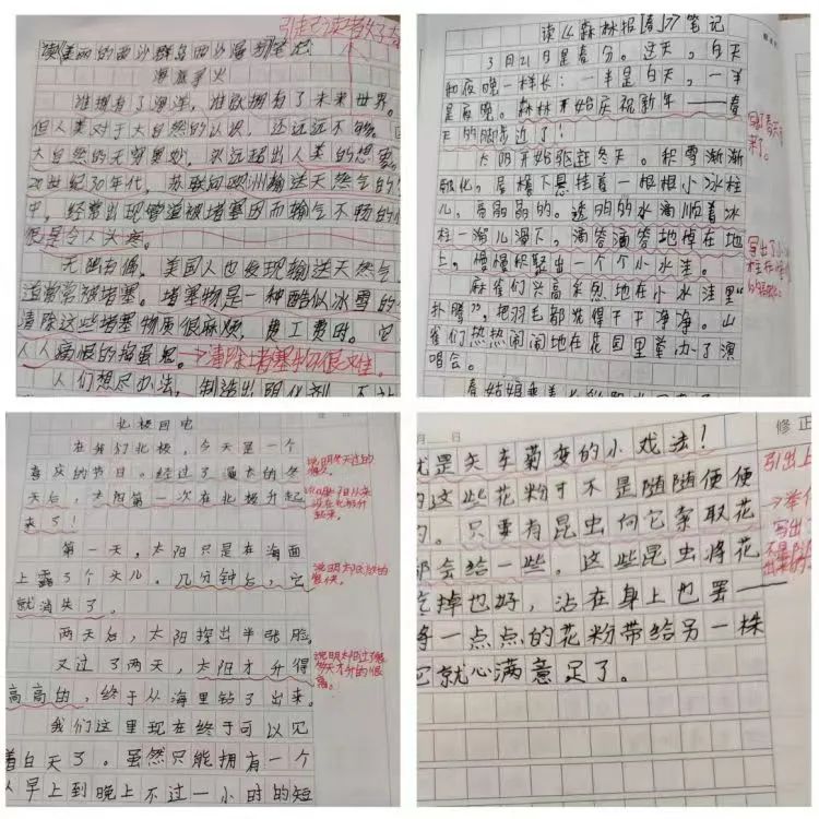 狄公小学班班共读系列之书香满园“阅”读“悦”美 ——狄公小学四年级班班共读 第28张