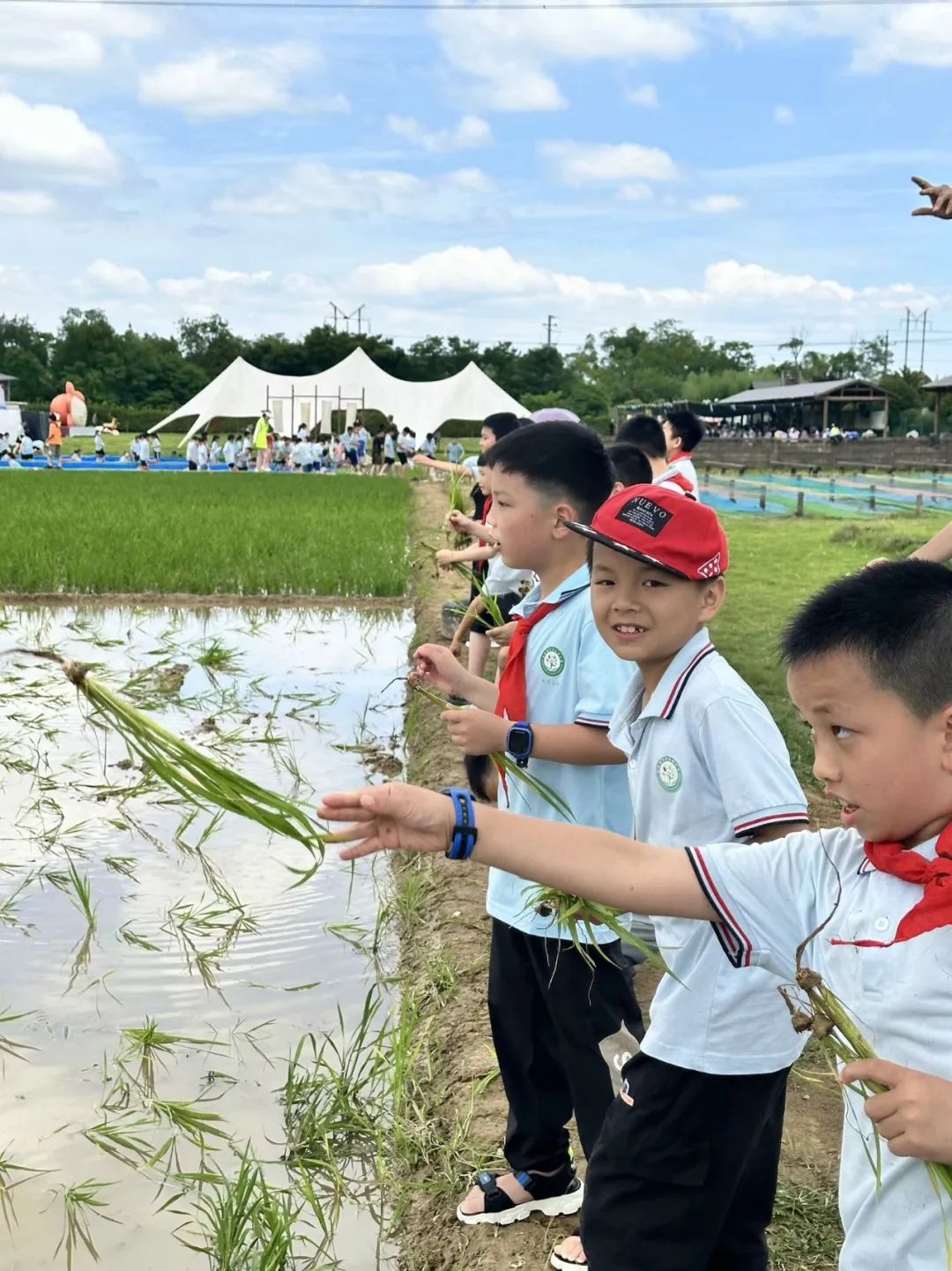 花园小学“国歌嘹亮 耕读童年”——庆六一•红领巾爱祖国研学实践活动 第54张