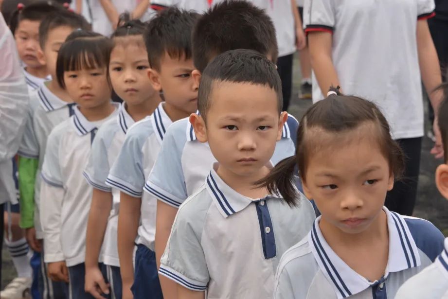 趣探小学,幼见成长 第35张