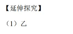 中考化学 | 2024广东省湛江市廉江市中考模拟检测题含答案 第16张