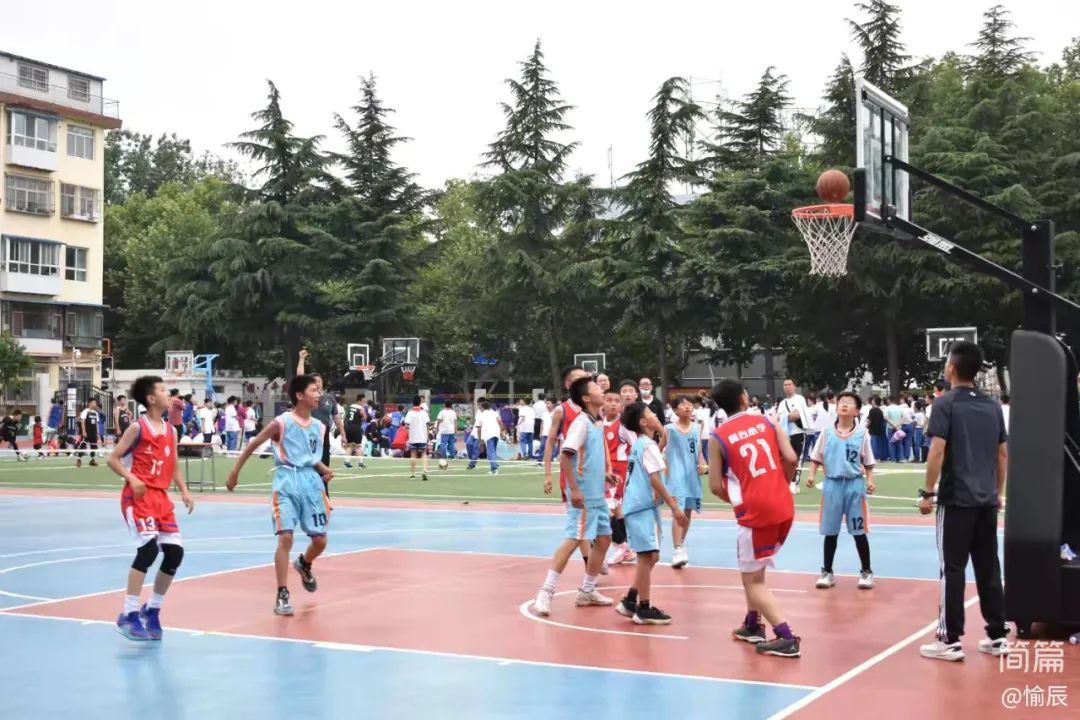 晋城市城区凤台小学在市区小学生篮球联赛中获佳绩 第28张