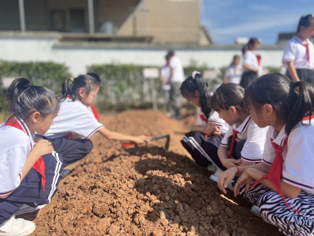 【儿童友好系列活动】奕棋镇中心小学:深耕劳动教育 赋能学生成长(一百零七) 第7张