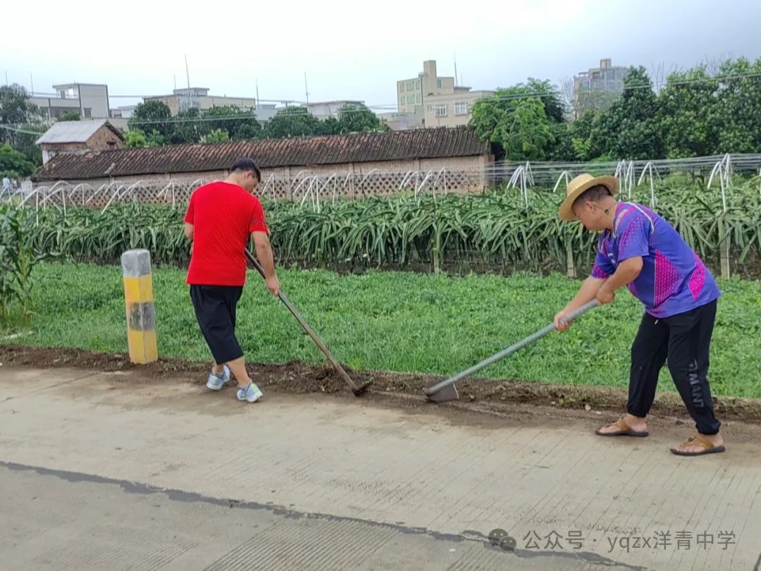 铲草护绿,清道助中考 第17张