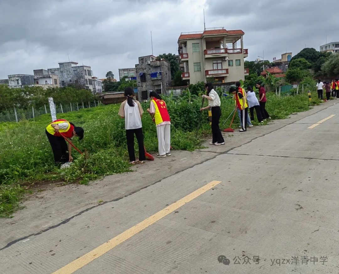 铲草护绿,清道助中考 第10张