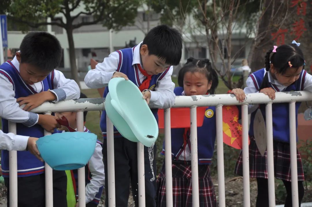 城东小学2024年秋一年级新生报名入学通告 第17张