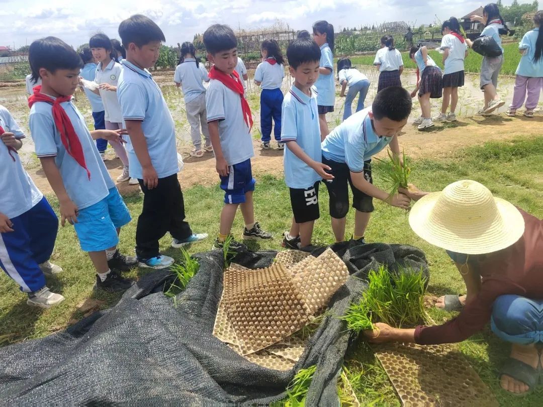 花园小学“国歌嘹亮 耕读童年”——庆六一•红领巾爱祖国研学实践活动 第46张