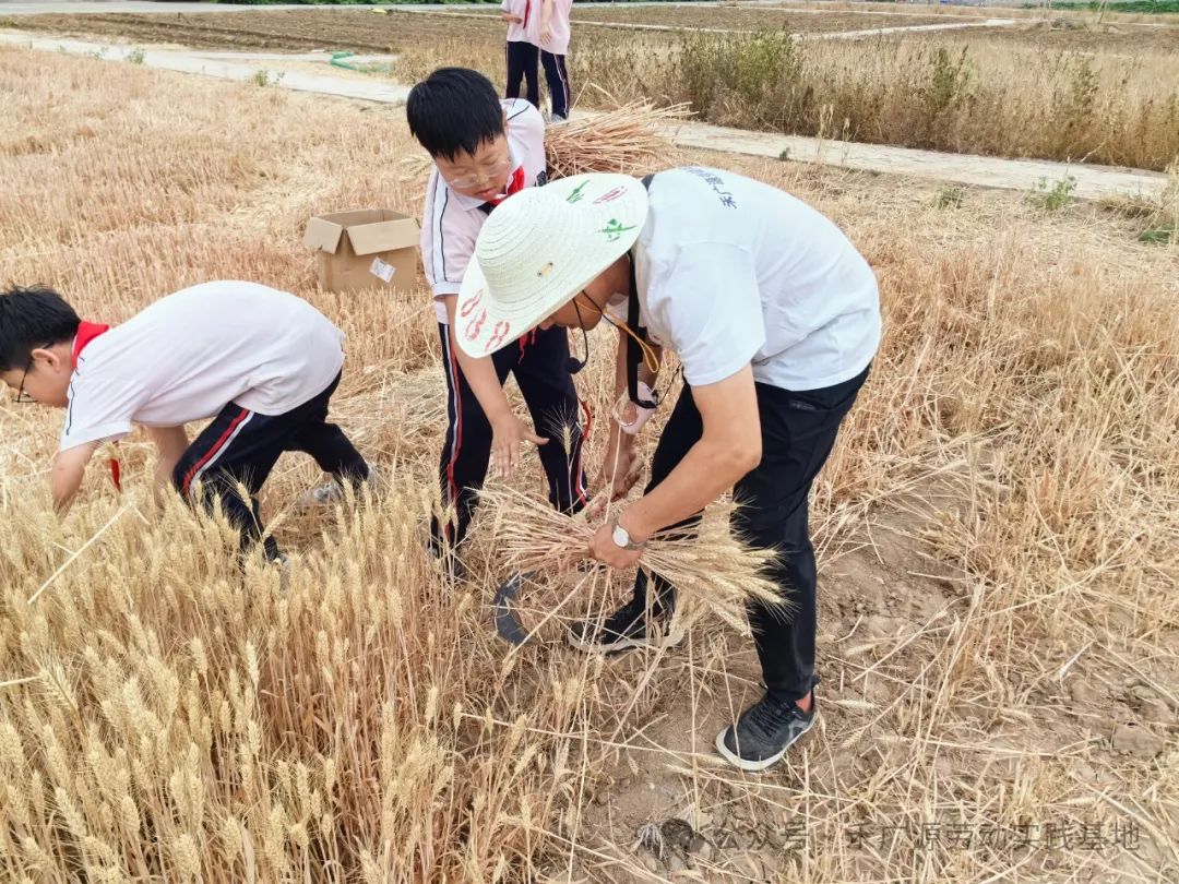 “芒”有所获,“种”有所得——科奥小学五年级劳动实践活动 第14张