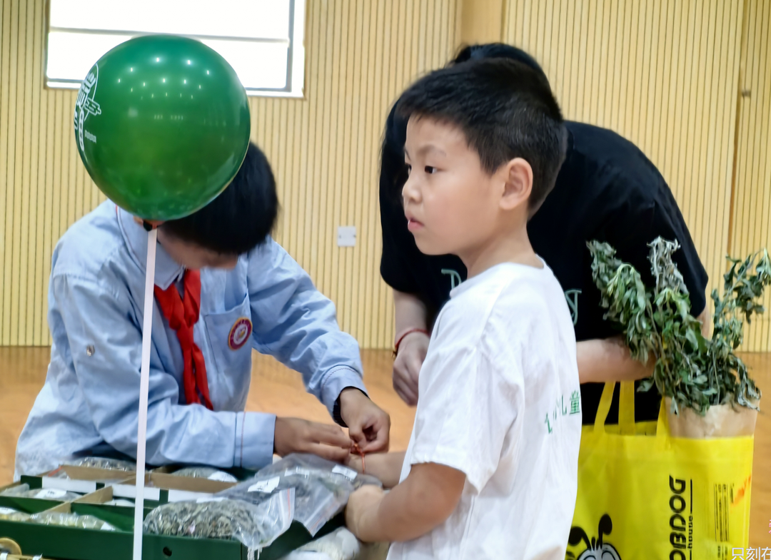 【幼小衔接】你好,小学 | 一起走进小学,共赴一场成长之约 第16张