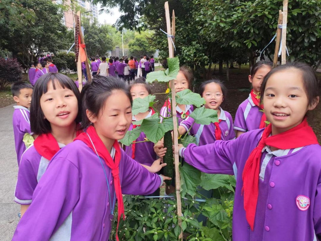 校园活动 | 永州市映山小学:“蔬”香漫校园,实践促成长 第30张