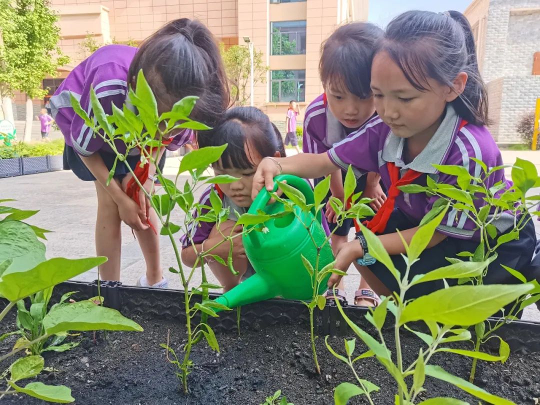 校园活动 | 永州市映山小学:“蔬”香漫校园,实践促成长 第18张