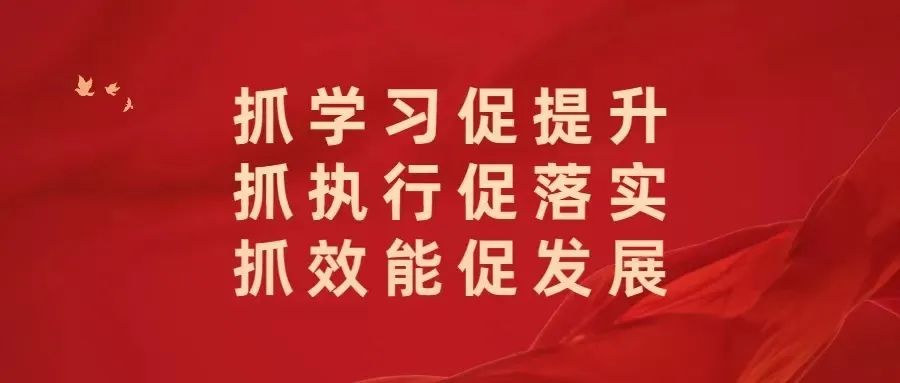 喜报|西和县西青永丰小学六名同学被授予“陇南市五好学生”荣誉称号 第2张