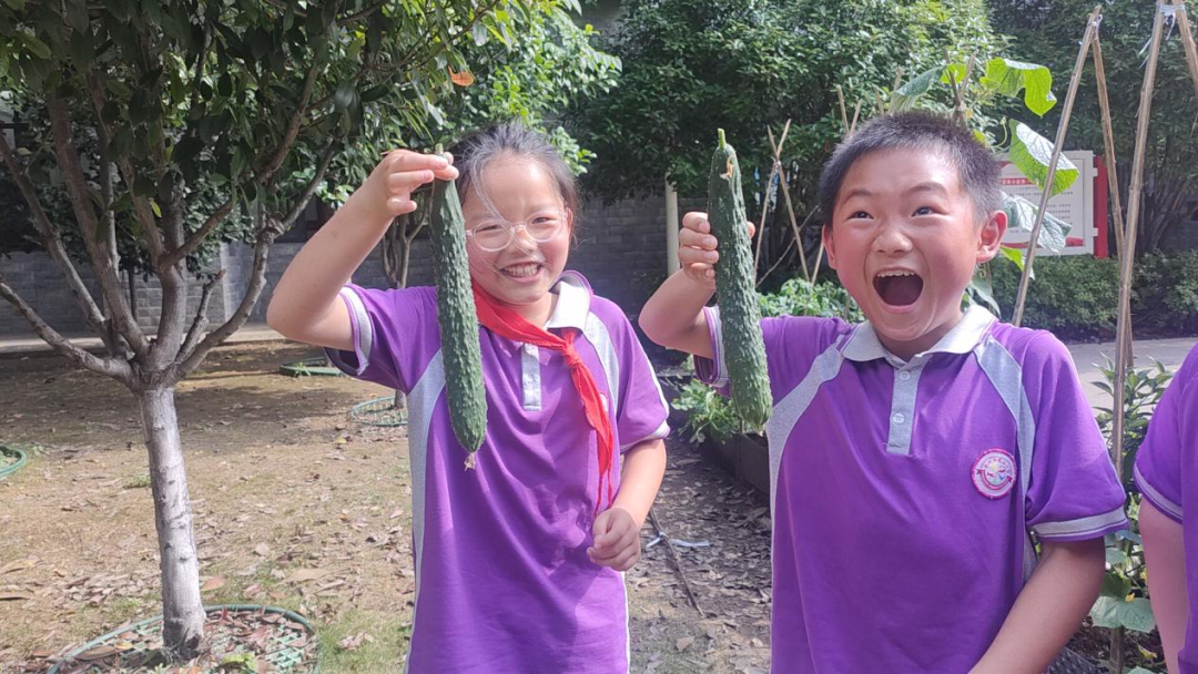 校园活动 | 永州市映山小学:“蔬”香漫校园,实践促成长 第29张