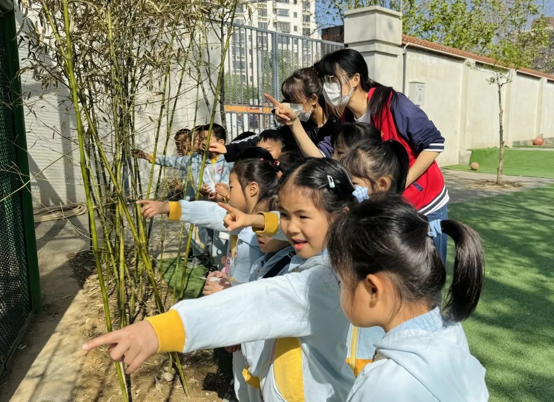 小学初体验  衔接零距离 第32张