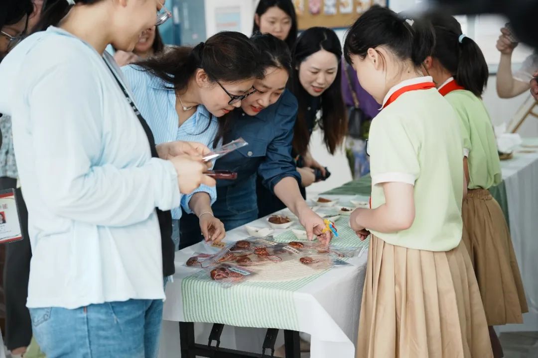 青小大事记|常州市小学劳动教育推进展示活动在青龙实验小学举行 第35张