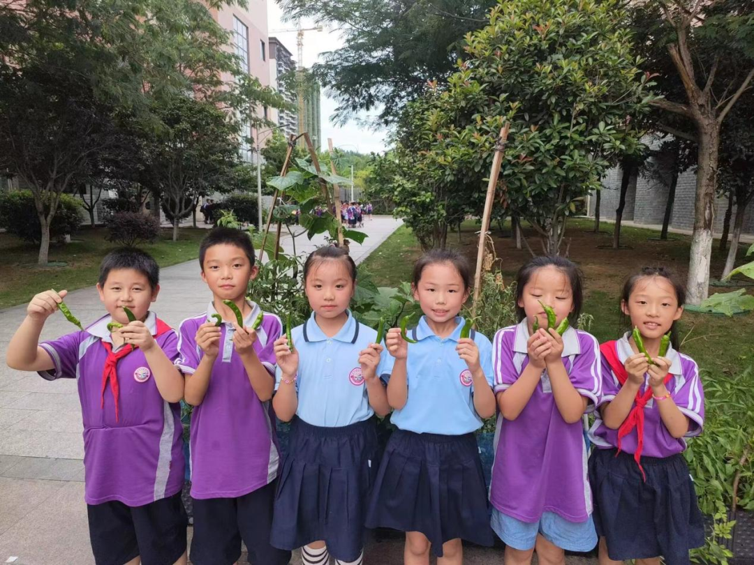 校园活动 | 永州市映山小学:“蔬”香漫校园,实践促成长 第31张