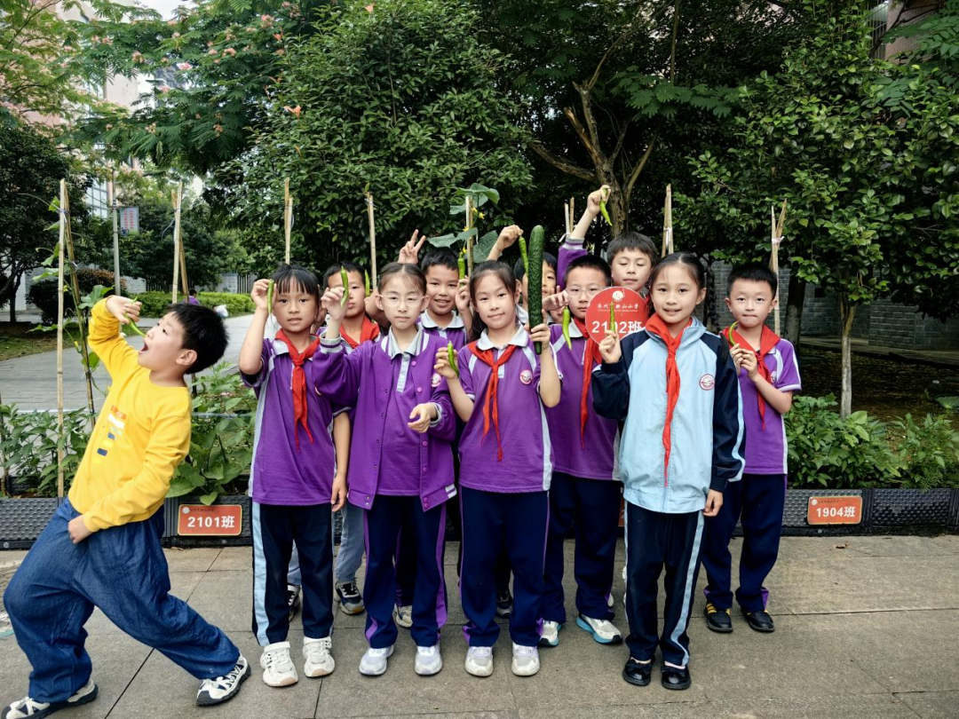 校园活动 | 永州市映山小学:“蔬”香漫校园,实践促成长 第33张