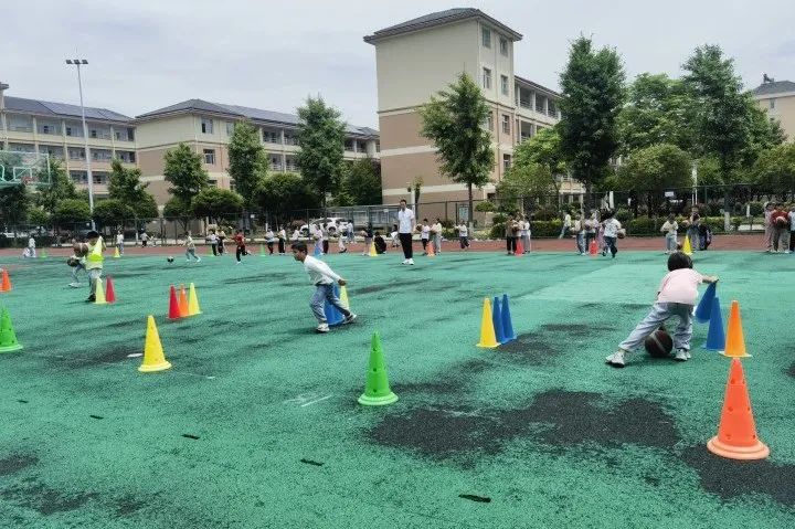 教科共研,智慧启航——海盐县滨海小学科研学术周活动 第14张