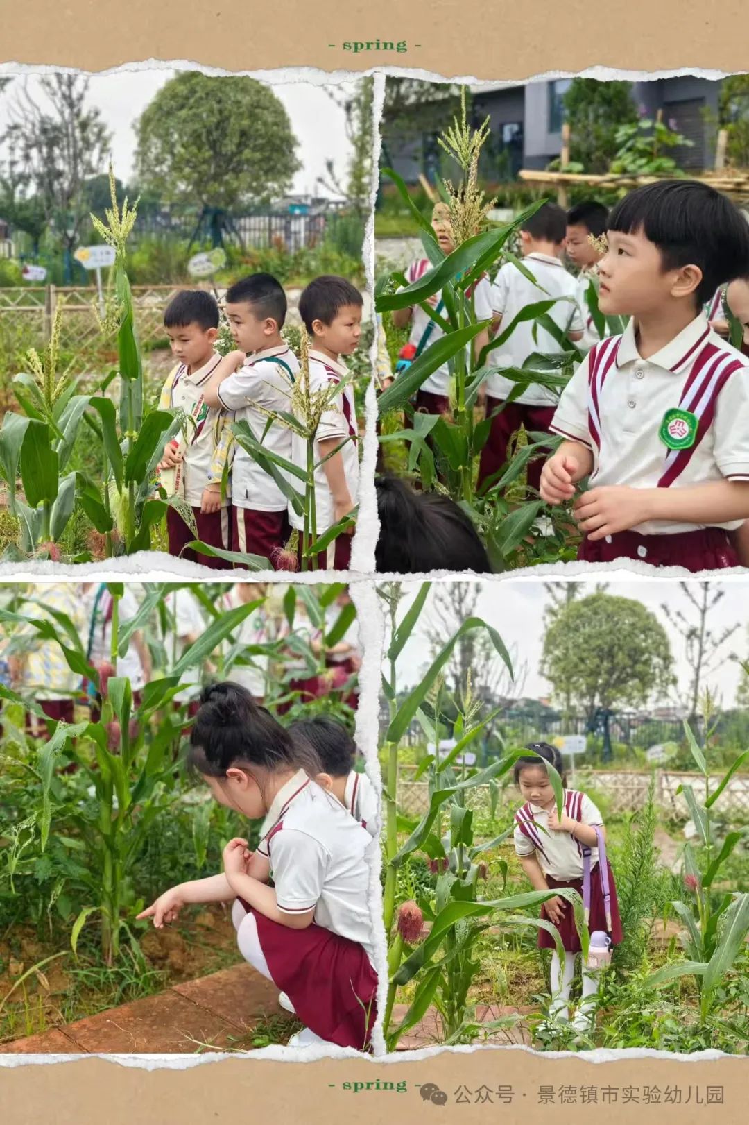 幼小衔接——景德镇市实验幼儿园  ·参观小学活动· 第22张