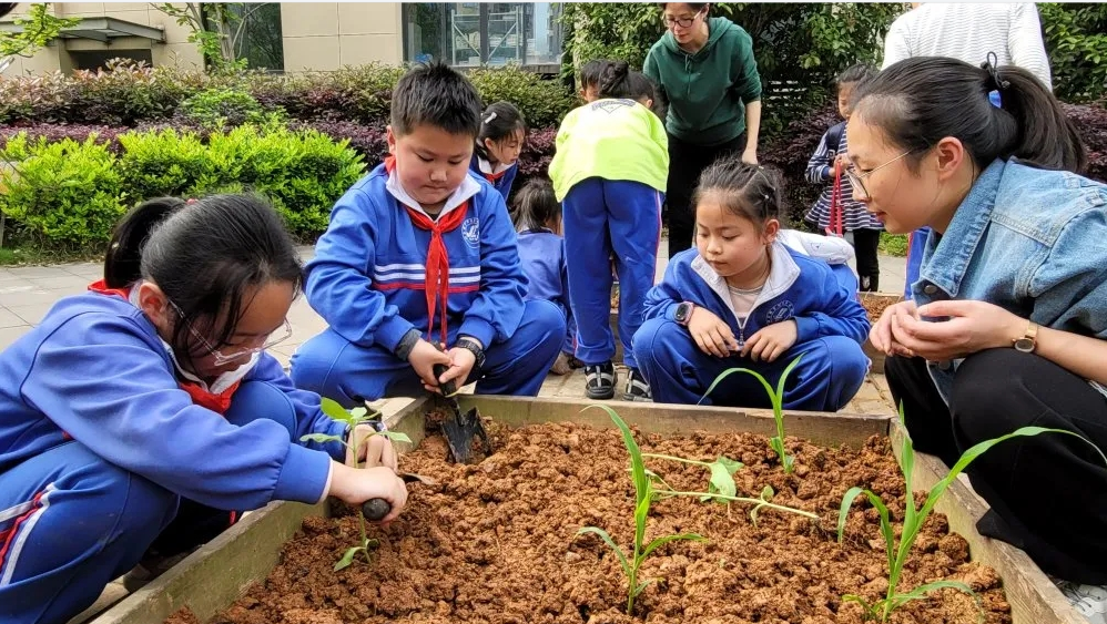 【魅力小学第1257期·教师招聘】砂子塘魅力小学2024年春季教师招聘公告 第19张