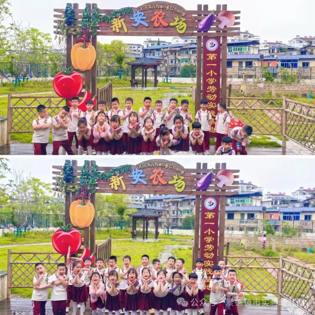 幼小衔接——景德镇市实验幼儿园  ·参观小学活动· 第23张